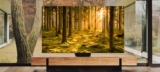 Ranking telewizorów 75 cali